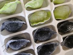 -船歌鱼水饺(高新园区店)