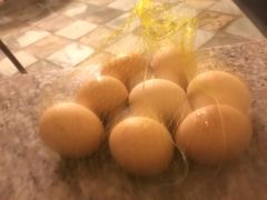 -华山御温泉度假村