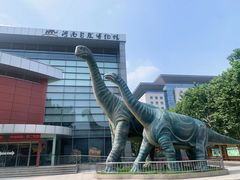 -河南自然博物馆