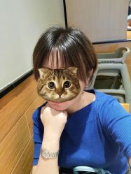 -Sugar Hair Salon