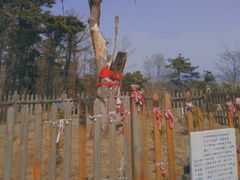 -高尔山公园