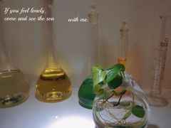 -宫七SPA·高端Massage(浦东大道店)