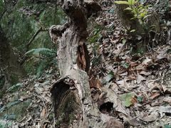 -达蓬山旅游度假区
