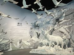 -中国湿地博物馆