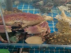 -和源祥·日照菜扛把子(万平口一店)