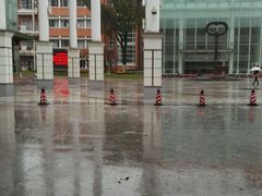 -华东师范大学第二附属中学(张江校区)