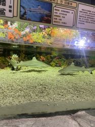 -Zoolung Zoolung动物主题公园(海信广场店)