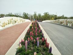 -上海浦江郊野公园-2号停车场