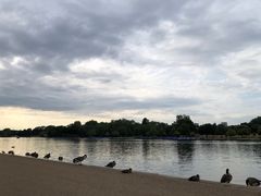 -海德公园