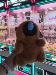 -嗨翻Hi-Fun竞技主题乐园·蹦床团建生日聚会(五棵松华熙店)