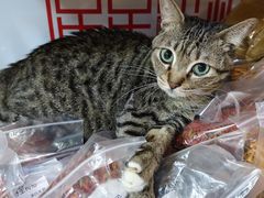 -净行天厨(莲塘总店)