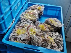 -炉边皮皮·烘焙甜品工厂店