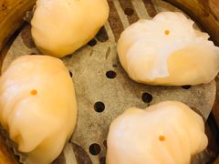 -美心皇宫(沙田大会堂店)