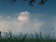 -野鸭湖国家湿地公园