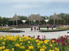 -长春公园(普阳街道)