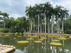 -中国科学院西双版纳热带植物园