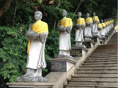 环境-西双版纳勐泐文化旅游区
