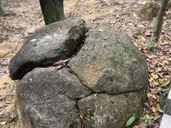 -火炉山森林公园