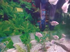 -常州海昌海洋探索馆