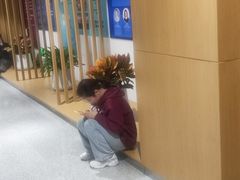 -大鸭梨烤鸭(金色漫香店)