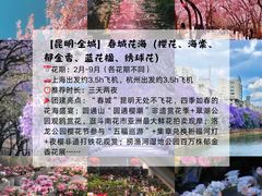 -上海山野camping·户外天幕烧烤·团建拓展营地
