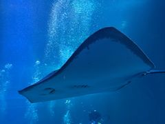 -太平洋海底世界