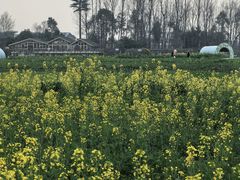 -中国天府农业博览园