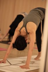 -酉嘉瑜伽YO+YOGA