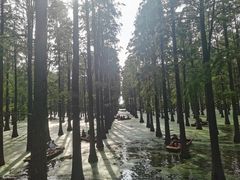 -渌洋湖湿地公园