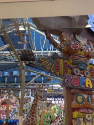 -卡通尼·Safari非洲探索乐园·生日会(金桥国际商业广场店)