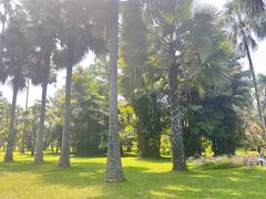 -中国科学院西双版纳热带植物园