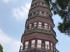 -顺峰山公园