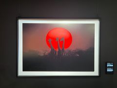 -罗红摄影艺术馆