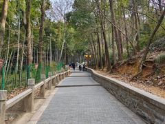 -灵岩山风景区