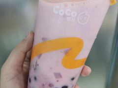 -CoCo都可(文星广场店)