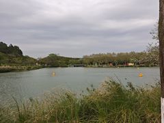 -宜兴龙背山森林公园