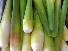 -夏家大锅台炖鱼馆