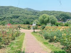 -龙寺生态园