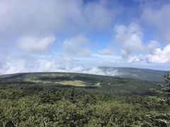 -凤凰山国家森林公园
