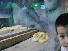 -西安秦岭野生动物园