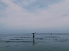 -奉贤海滩