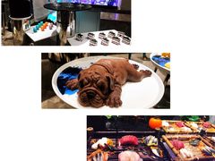 -佳源四季酒店-雅悦自助餐厅(新洲路店)