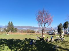 -云禾壹海景庄园餐厅