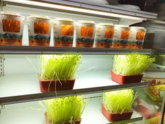 -番食园鲜食火锅(高新店)