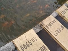 -遂昌金矿国家矿山公园
