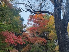 -长春市南湖公园