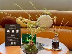 -KINI绮丽·美学肌SPA进口仪器专业店