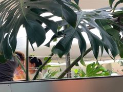 -枕水江南(铁西万象汇店)