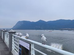 -海埂大坝