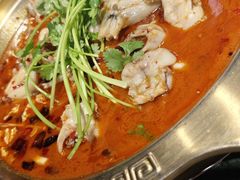 -重庆火锅水库鱼庄(南油店)